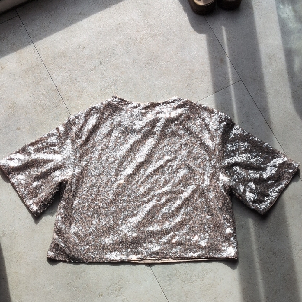 H&M Silver Sequin Crop Top - Picture 3 of 4